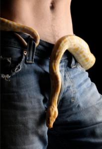 istock_000005312982xsmall-andre-labat